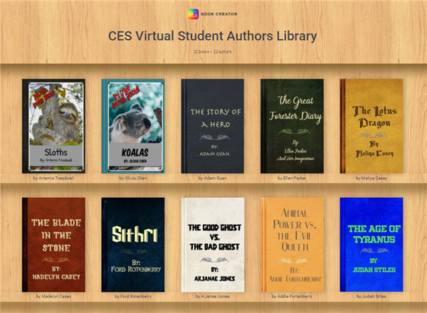 screenshot of virtual library